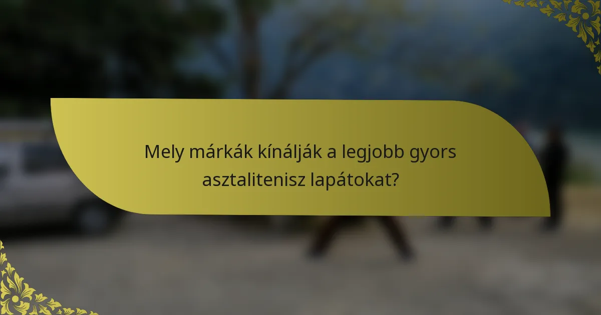Mely márkák kínálják a legjobb gyors asztalitenisz lapátokat?