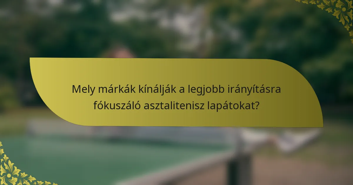 Mely márkák kínálják a legjobb irányításra fókuszáló asztalitenisz lapátokat?