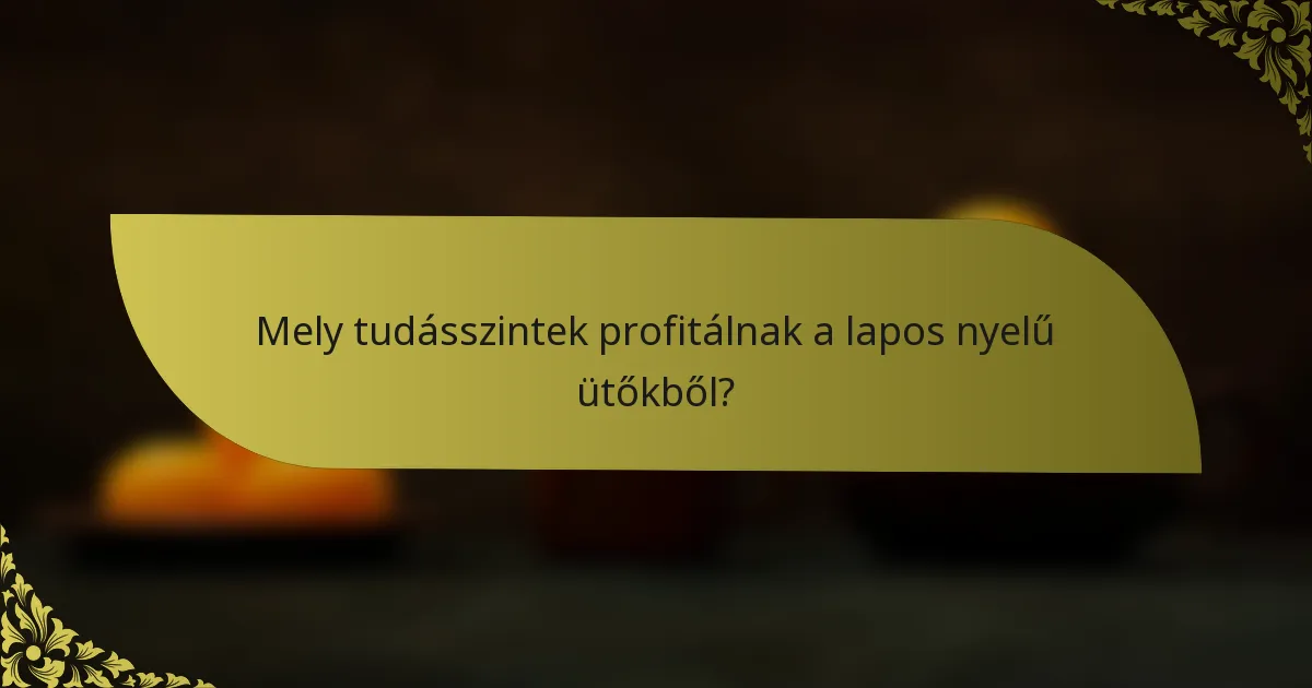Mely tudásszintek profitálnak a lapos nyelű ütőkből?