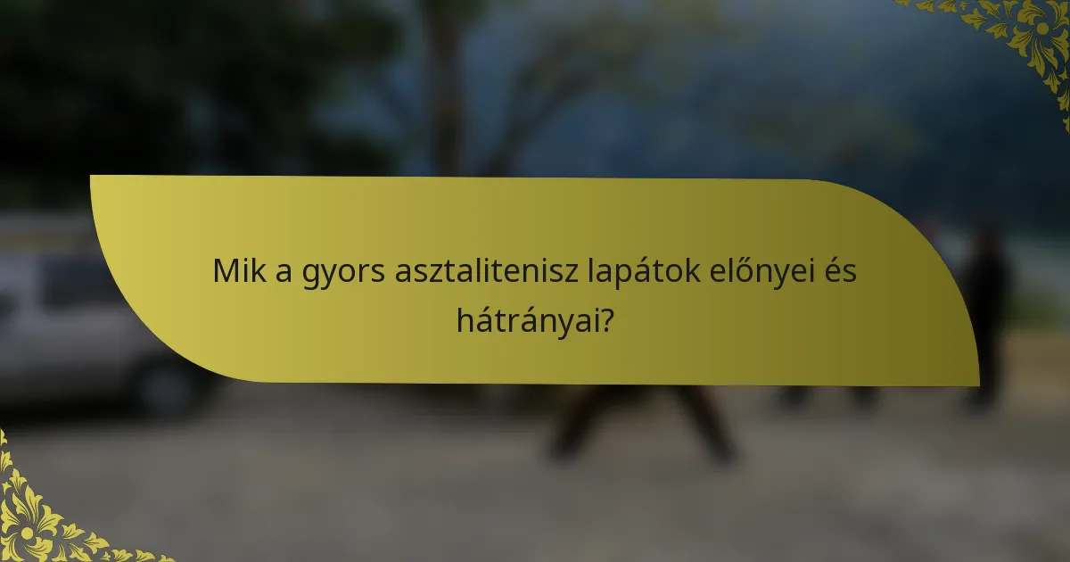 Mik a gyors asztalitenisz lapátok előnyei és hátrányai?