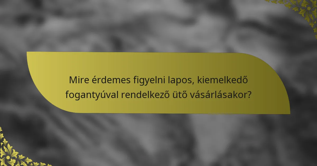 Mire érdemes figyelni lapos, kiemelkedő fogantyúval rendelkező ütő vásárlásakor?